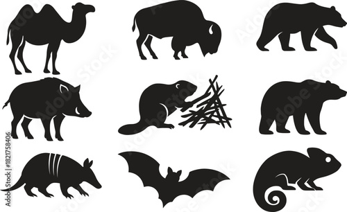 Silhouettes of diverse animal species mammals reptiles and birds