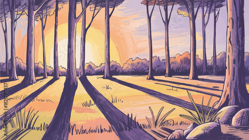 Serene forest scene with sun casting long shadows, perfect for nature lovers and outdoor enthusiasts seeking peaceful, calming visuals in design projects