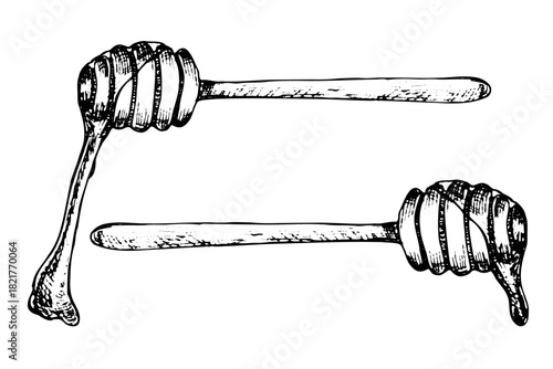 Wooden honey stick vector sketch set. Honey dripping from a wooden spoon. Vintage linear hand drawn illustration of wooden dipper for sweet syrup products.