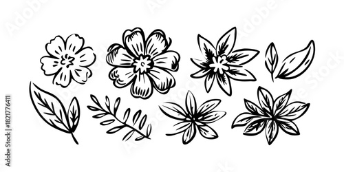 Hand Drawn Ink Flowers and Leaves leaf floral