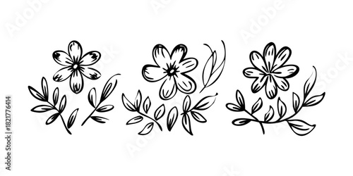 Hand Drawn Ink Flowers and Leaves on Transparent Background