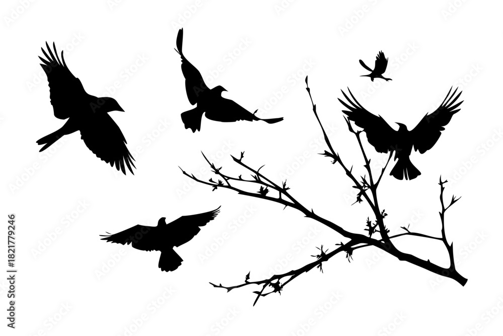 Obraz premium Minimalist black silhouette of birds in flight flying