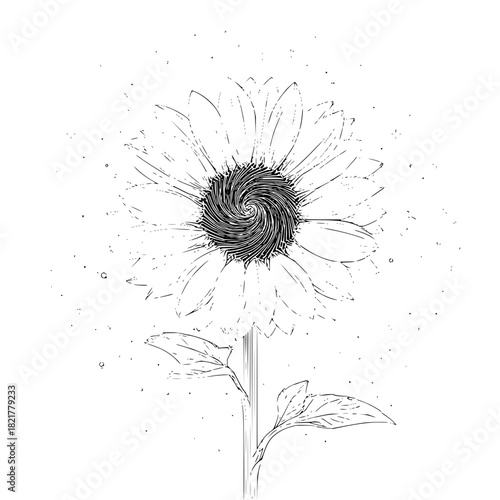 Black and white sketch drawing of a sunflower