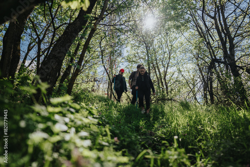 A small group of friends and family hike along a grassy, sunlit forest trail, surrounded by trees. They wear casual outdoor clothes and carry light gear, enjoying nature and fresh air together.