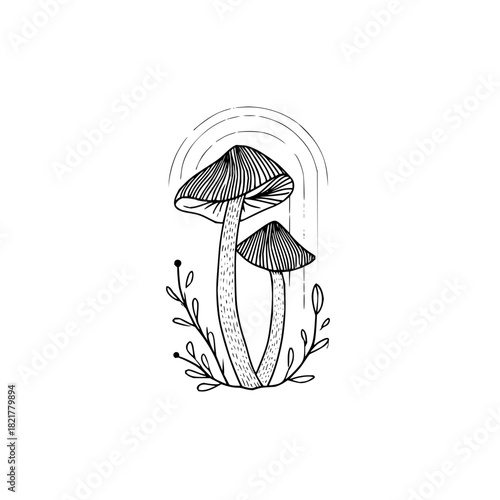 Minimalist black and white line art drawing of two mushrooms