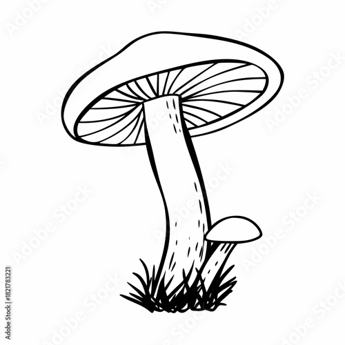 Line drawing of a mushroom with a small companion