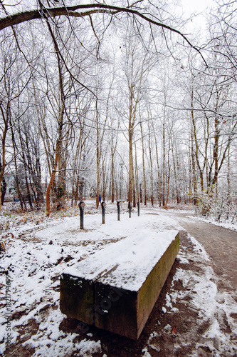 Snowy Park Path with Wooden Bench and Bare Trees