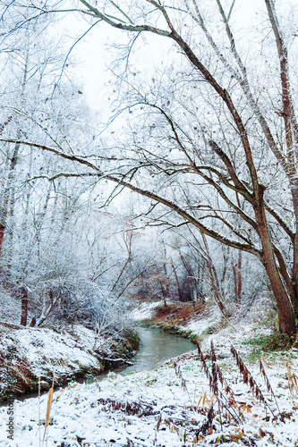 Winter Forest with Small River Flowing Through Snow