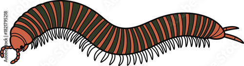 Cute cartoon millipede vector illustration striped insect art segmented creature design crawling arthropod graphic colorful bug icon educational animal drawing