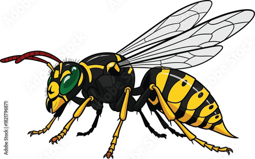 Vector wasp illustration yellow and black insect art