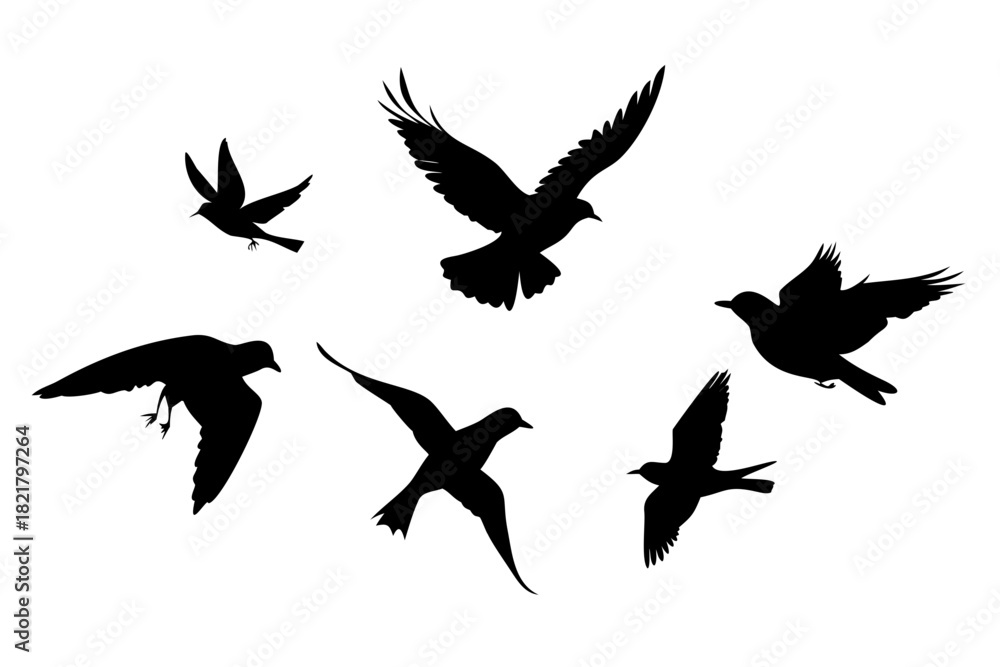 Fototapeta premium Three Birds Flying Silhouette on White Background animal