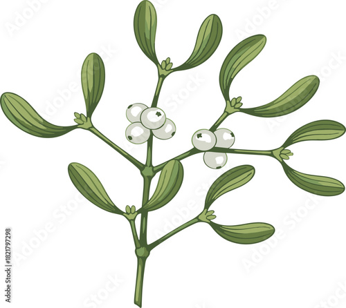 Beautifully rendered vector illustration of a mistletoe branch with green leaves and white berries, symbolizing holiday cheer and winter traditions