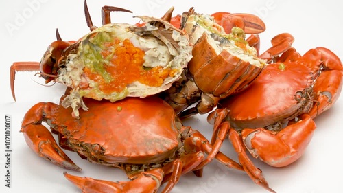 Close-up of rotating Vietnamese female crabs (Roe crab) with orange roe inside. Boiled premium seafood isolated on white background. Asian delicacy.
