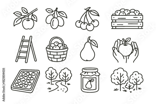 Vector fruit branch icon picking plum cluster mat orchard wild tree icons