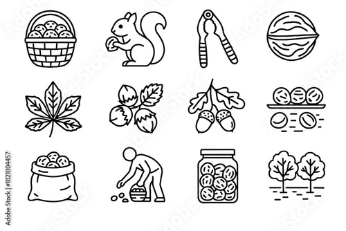 Leaf vector jar collecting nut gathering cluster walnut icon icons storage branch