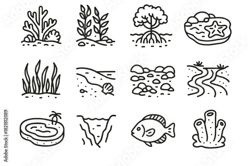 Deep sea sandy icon coral beach vector shore pool seagrass icons habitat