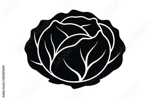 cabbage vector icon illustration on white