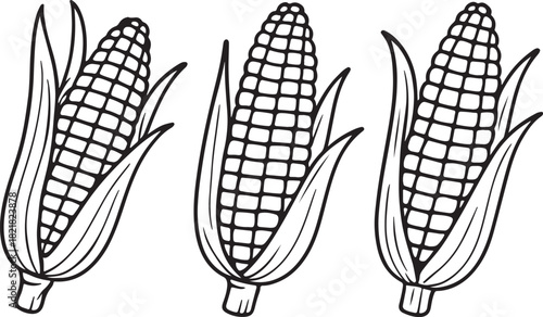 Corn cob , out line silhouette in black and white, vegetable line art with husk, farming and harvest concept