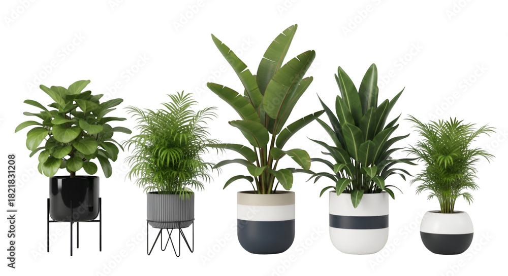 Fototapeta premium Assortment of Potted Houseplants with Modern Planters