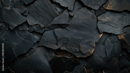 An intricate arrangement of black slate rocks creates a visually striking pattern. The natural textures and formations evoke a sense of strength and permanence in this earthy image.