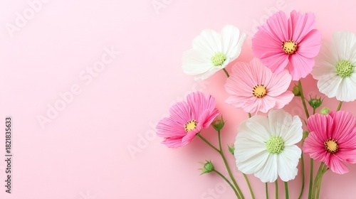 A Beautiful Arrangement of Soft Pink and White Flowers Set Against a Subtle Pink Background, Perfect for Spring Decor and Celebrations