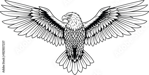 Eagle wings spread, black and white vector, symmetrical frontal view, fierce predator bird, detailed feathers, wildlife silhouette, majestic raptor illustration