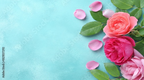 A Beautiful Collection of Pink Roses with Soft Petals on a Light Blue Background Capturing the Essence of Spring and Natural Beauty