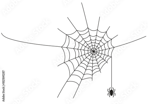 spider on web.Line Art Spider Web with Hanging Spider