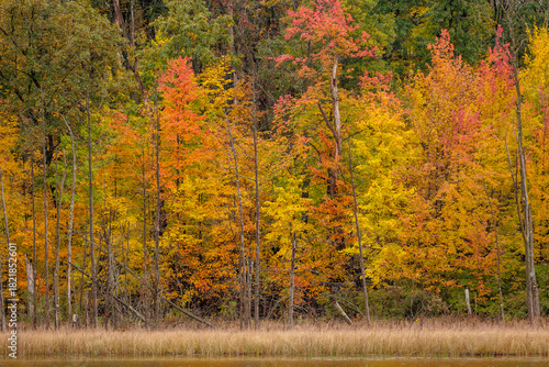 The very colorful shoreline of Ennis Lake in mid-October, within the John Muir Memorial County Park, Montello, Wisconsin