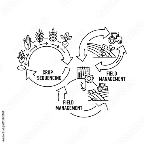 Crop sequencing and field management cycle diagram outline