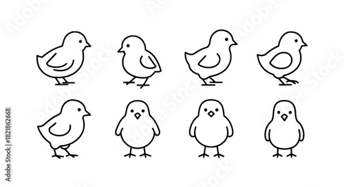 Cute Chick Icons Farm Animals, Baby Birds, Easter Design Elements