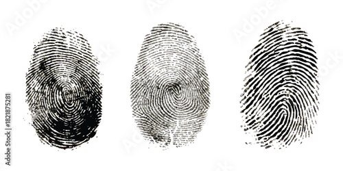 Three distinct human fingerprints for identification and forensic science