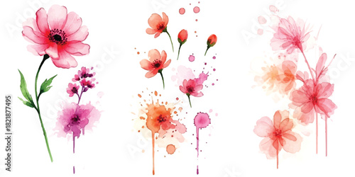 Watercolor floral elements with vibrant pink and orange splashes on white