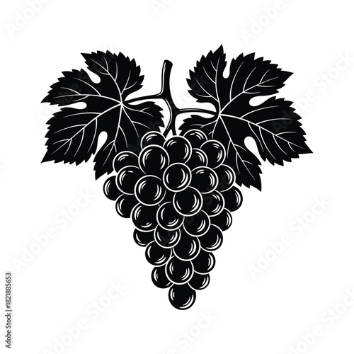 Detailed black and white engraving of a bunch of grapes with leaves