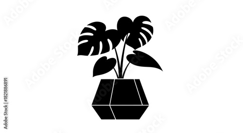 Modern monstera plant in graphic style, perfect for minimal designs, adding a fresh touch to any project, simple, elegant and ideal for branding needs