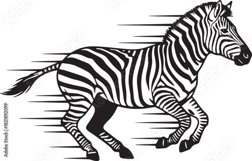 Zebra