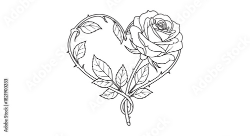 Delicate line illustration of a heart formed by a blooming rose with leaves and stem, graceful botanical sketch.