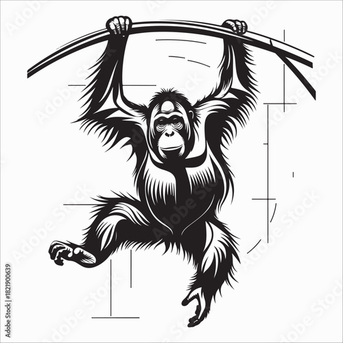 gorilla & orangutan silhouette vector on white background 