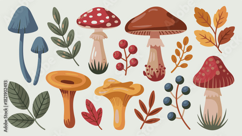 Assortment of Autumn Mushrooms and Leaves fungi chanterelle