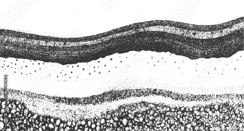 Abstract layered black and white texture with organic granular patterns vector