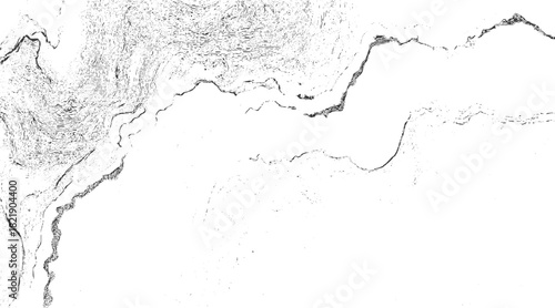 Black and white abstract texture resembling topographical map lines and geological strata background
