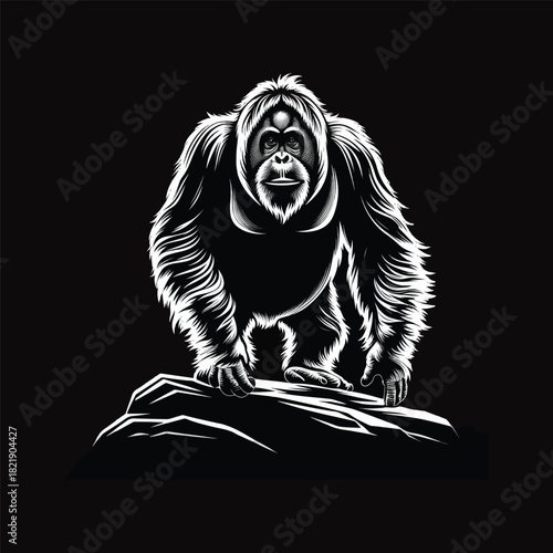 gorilla & orangutan silhouette vector on white background 