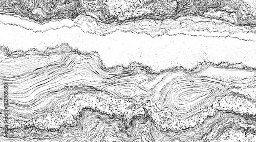 Black and white abstract organic lines and dots texture pattern background