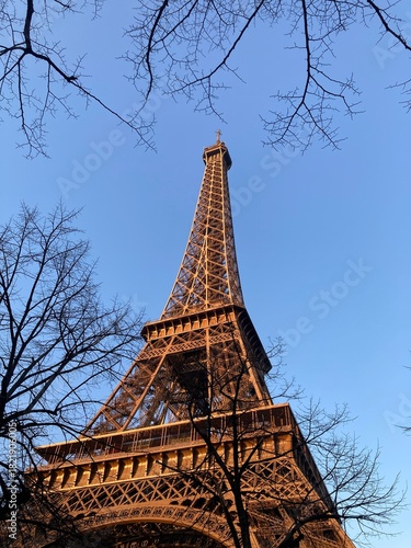 Wallpaper Mural Eiffelturm im warmen Abendlicht zwischen winterlichen Ästen vor klarem Himmel in Paris Torontodigital.ca