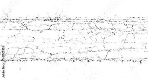 Black cracked texture overlay on white background with organic branching patterns abstract broken