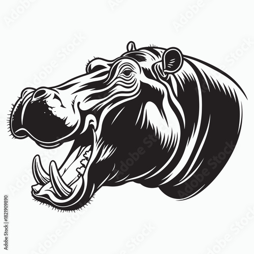 Aggressive hippopotamus head with open mouth and tusks vector silhouette illustration 