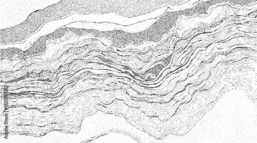 Black and white cross section of geological strata with wavy layers and stippled texture abstract background