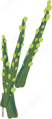 Asperge Illustration vectorielle colorée d'un fruit  ou d'un légume.. Parfait pour jus, smoothies, cocktails, emballage de produits estivaux ou recettes de cuisine.. Légume Vert Feuille Frais