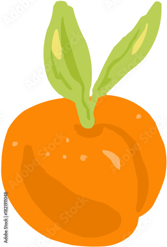 Apricot Illustration vectorielle colorée d'un fruit tropical ou d'une baie. Parfait pour jus, smoothies, cocktails, emballage de produits estivaux ou recettes de cuisine..