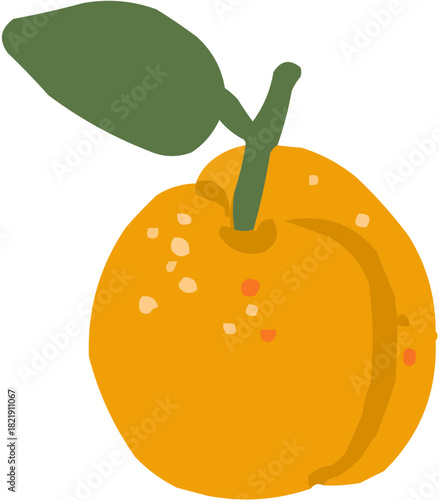 Apricot Illustration vectorielle colorée d'un fruit tropical ou d'une baie. Parfait pour jus, smoothies, cocktails, emballage de produits estivaux ou recettes de cuisine..